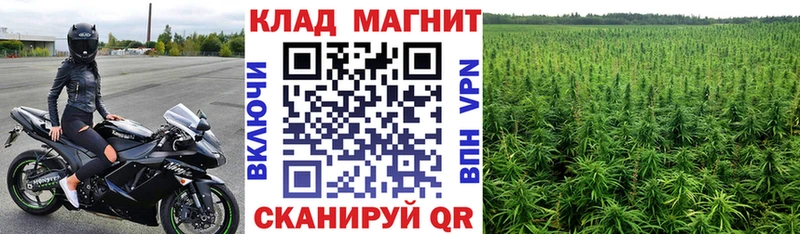 Где купить Калуга Марихуана КОКАИН Псилоцибиновые грибы Меф ГАШИШ