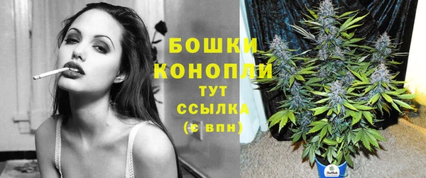 таблы Белокуриха