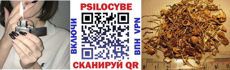 Псилоцибиновые грибы Magic Shrooms  Калуга 