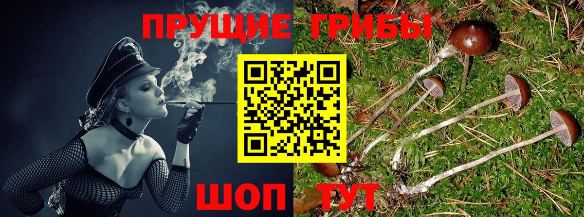 Галлюциногенные грибы GOLDEN TEACHER Калуга