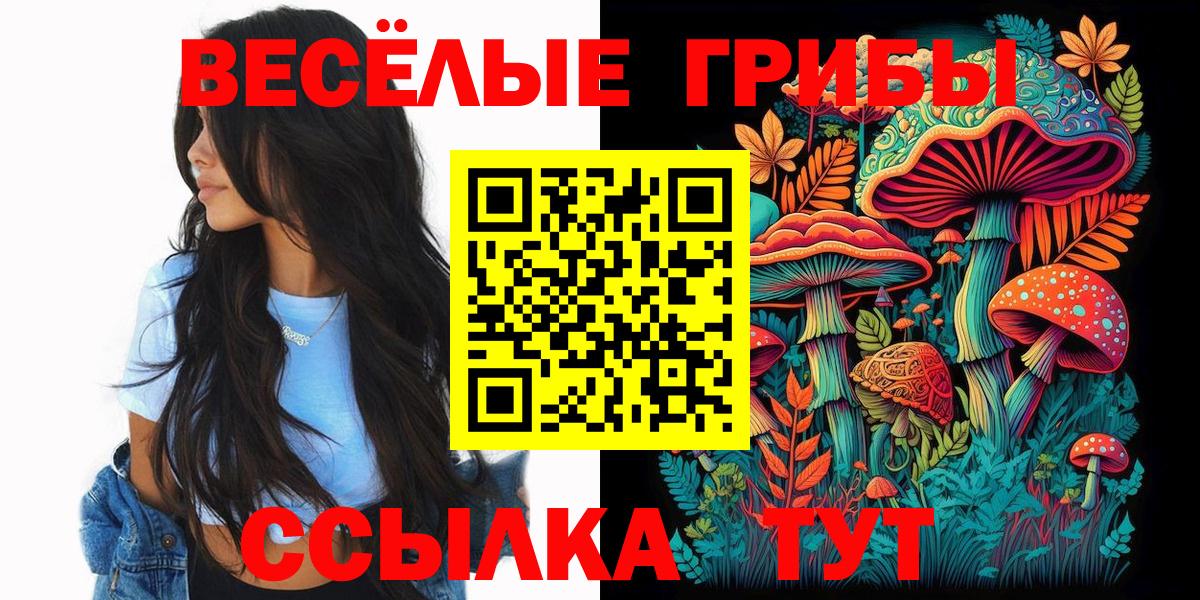 Галлюциногенные грибы Psilocybe  цены   Калуга  Вход с VPN 